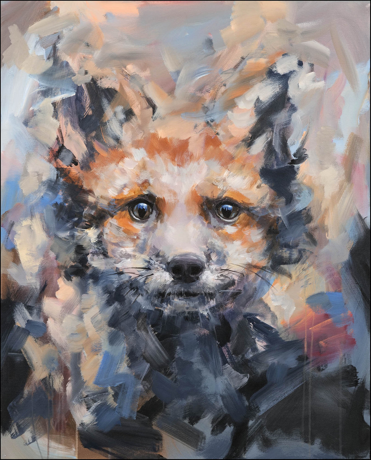 Fox cub
